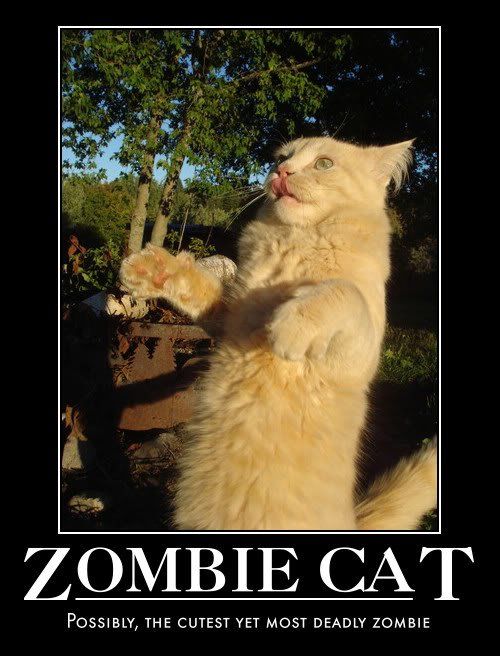 zombie-cat