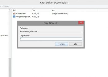 Çözüm: Windows Proxy Ayarlarını Değiştirememe