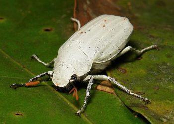 Tarihteki En Karanlık Madde Üretildi