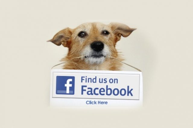 facebook-sayfa-begeni-3