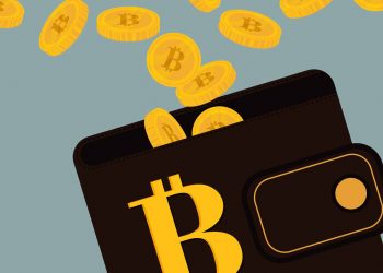 Dijital Madencilik için Cüzdan Seçim Rehberi