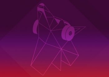 Ubuntu 19.04 Disco Dingo