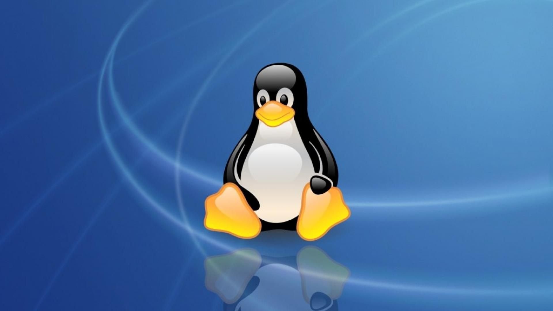Linux установленное по. ОС линукс. Linux Операционная система. Дистрибутивы ОС Linux. Linux Операционная система Интерфейс 1991.