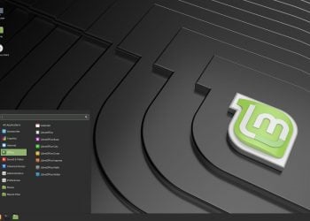 Linux Mint 19.2