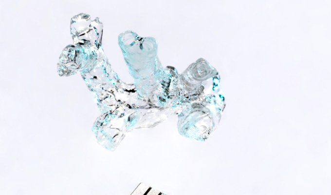 Canlı Doku Biyobaskısı