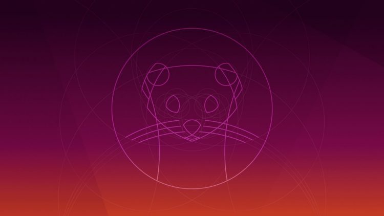 Ubuntu 19.10 Eoan Ermine