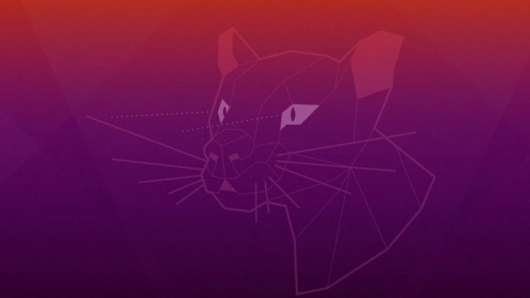 Ubuntu 20.04 LTS Focal Fossa