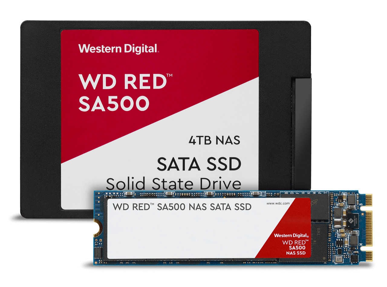 WD SSD modelleri