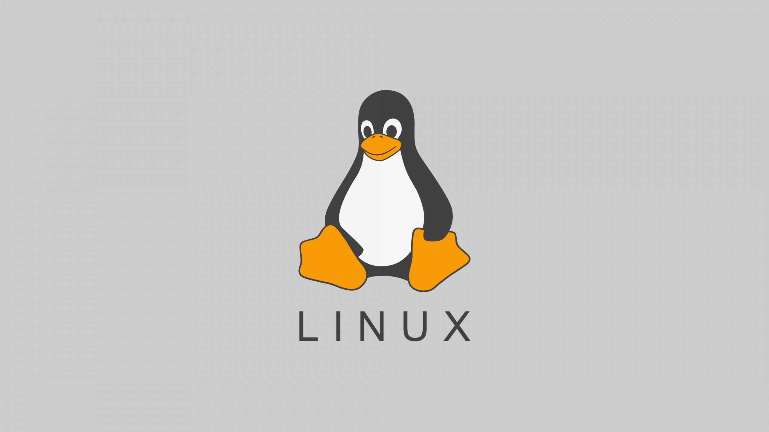 DistroWatch'daki ilk 10 Linux dağıtımı