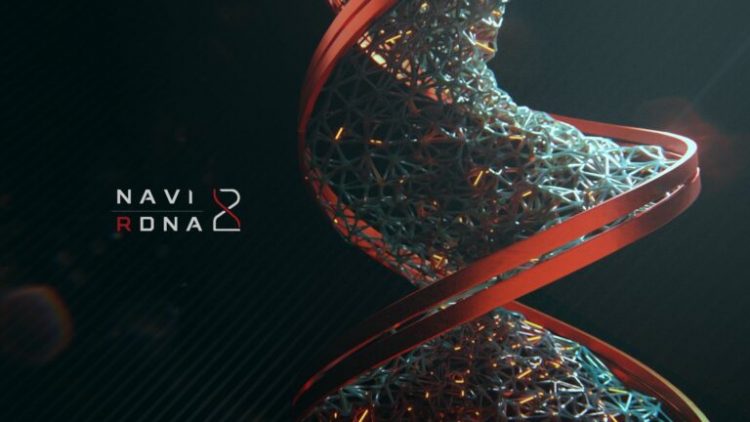 Big Navi Ekran Kartı