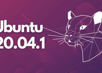 Ubuntu 20.04.1 LTS