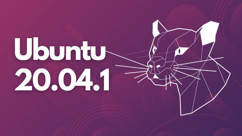 Ubuntu 20.04.1 LTS