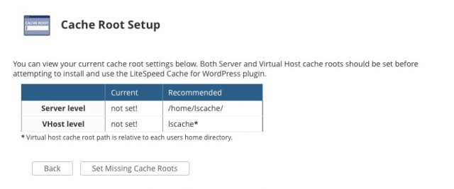 Cache Root Setup