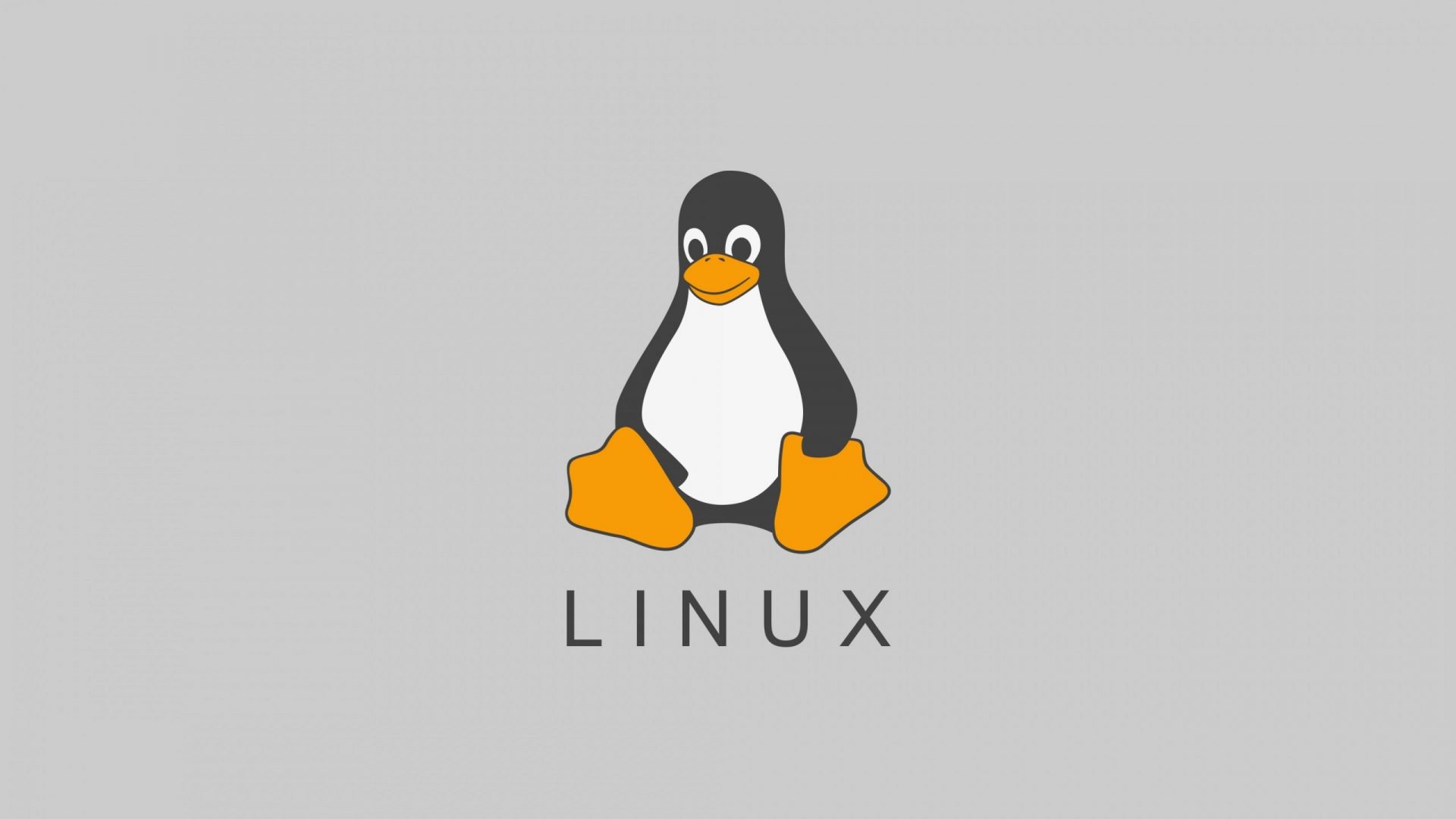Linux Dağıtım Sürümü ve Kernel Versiyonu Nasıl Öğrenilir?