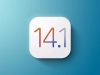 iOS 14.1, iPadOS 14.1
