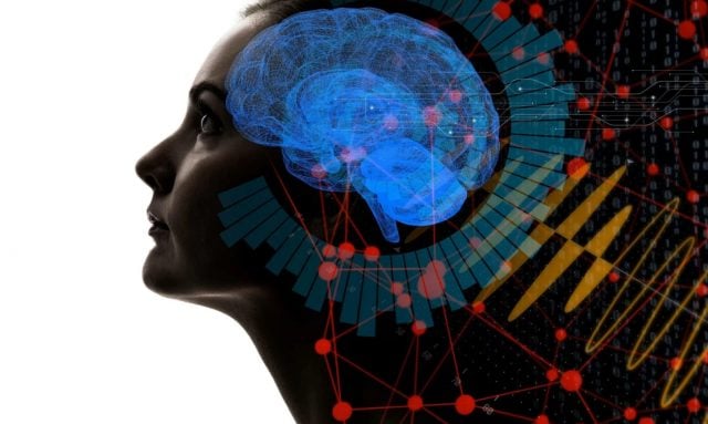 Beyin Sinyalleriyle İletişim Kurmak