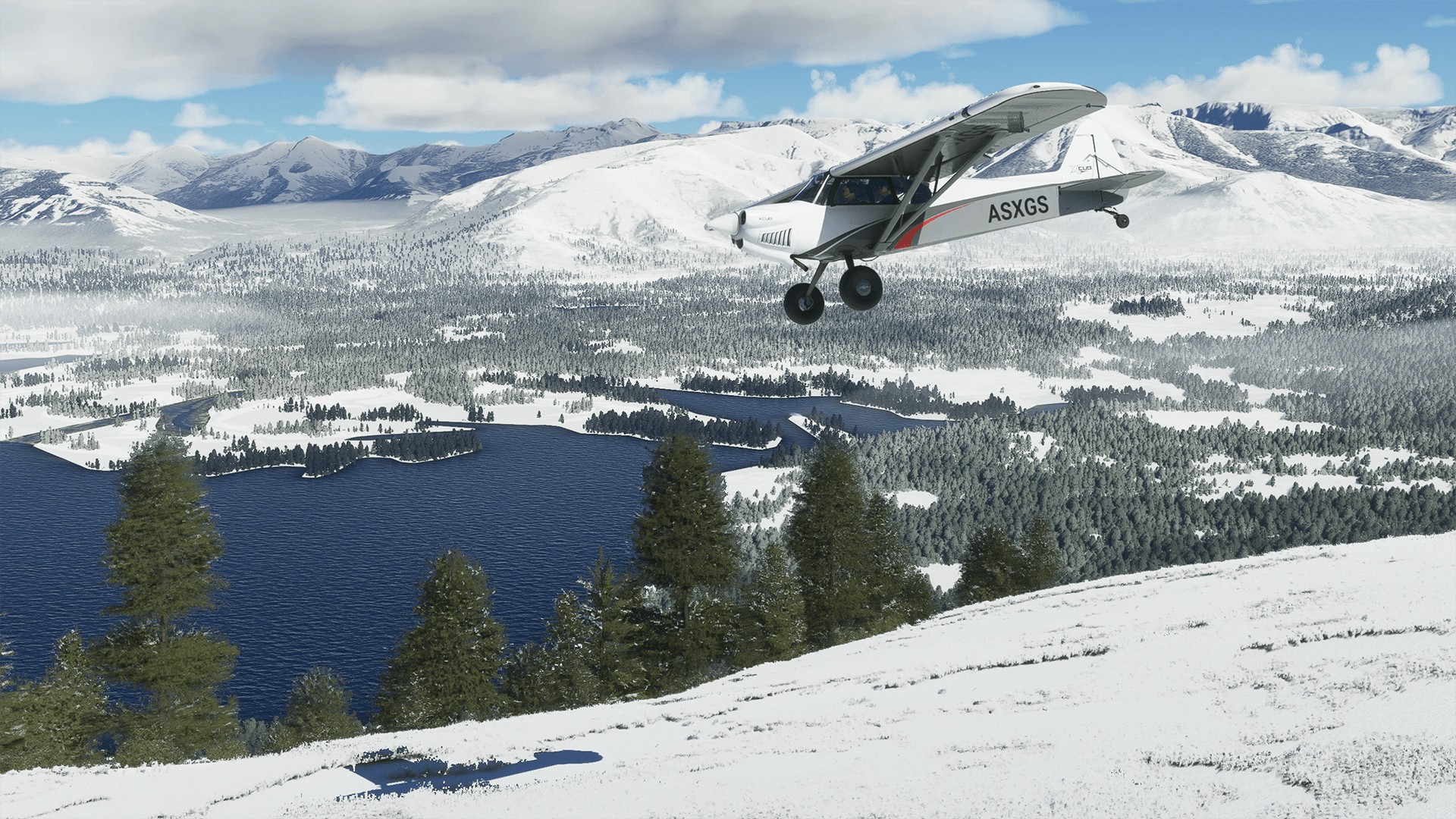 microsoft flight simulator