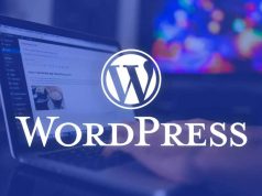 WordPress Otomatik Güncelleme