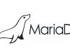 MariaDB 10.5