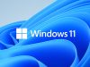 Windows 11 Home kurulumu
