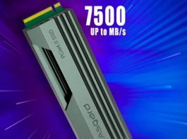 Çin Asgard PCIe4.0 SSD
