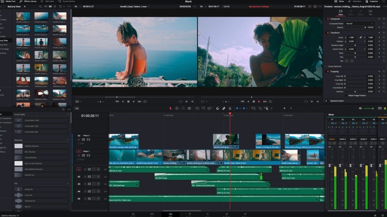 DaVinci Resolve 17.3