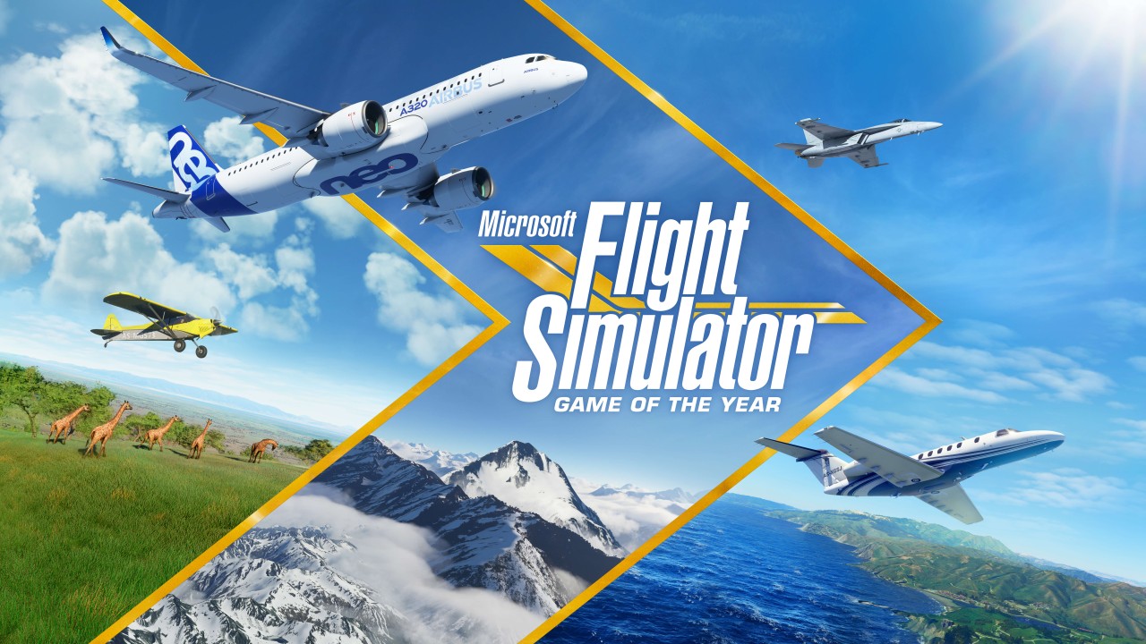 Microsoft Flight Simulator DirectX 12
