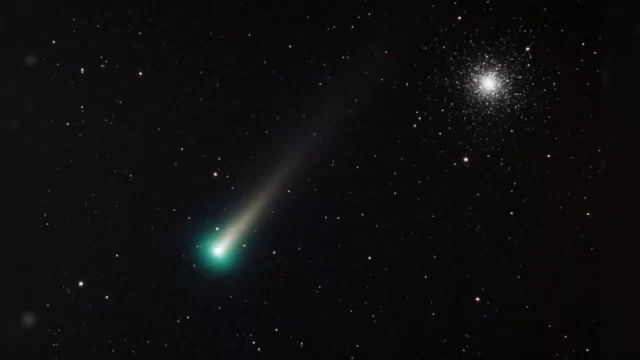 Leonard Kuyruklu Yıldızı