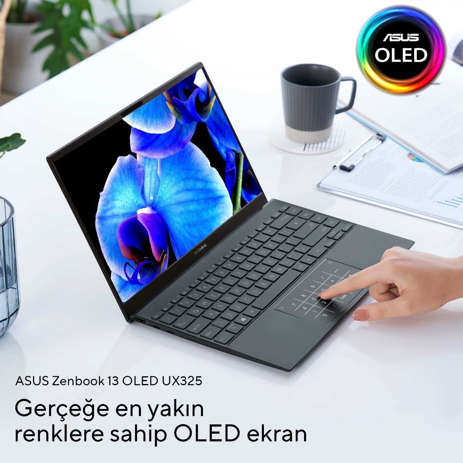 OLED Ekranlı İnce Laptop: Zenbook 13 UX325