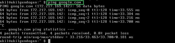 FreeBSD Google'a ping