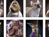NVIDIA Studio’da Sanatçı Massimo Righi ile Fantastik Üç Boyutlu Hayvanlar Hayat Buluyor