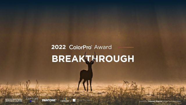 ColorPro Award 2022