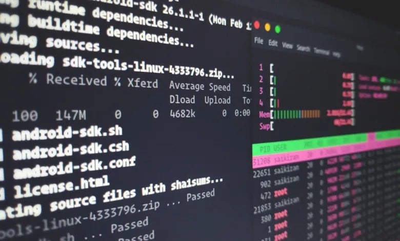 Arm64 Linux Cihazda Nintendo Switch Oyunu Çalıştırıldı