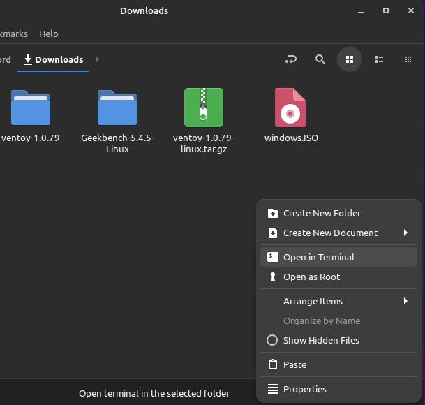 Klasörde Terminal Açma