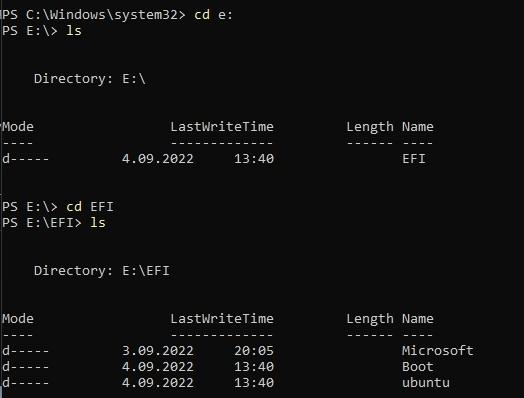 PowerShell İle EFI Bölümünü Görüntüleme
