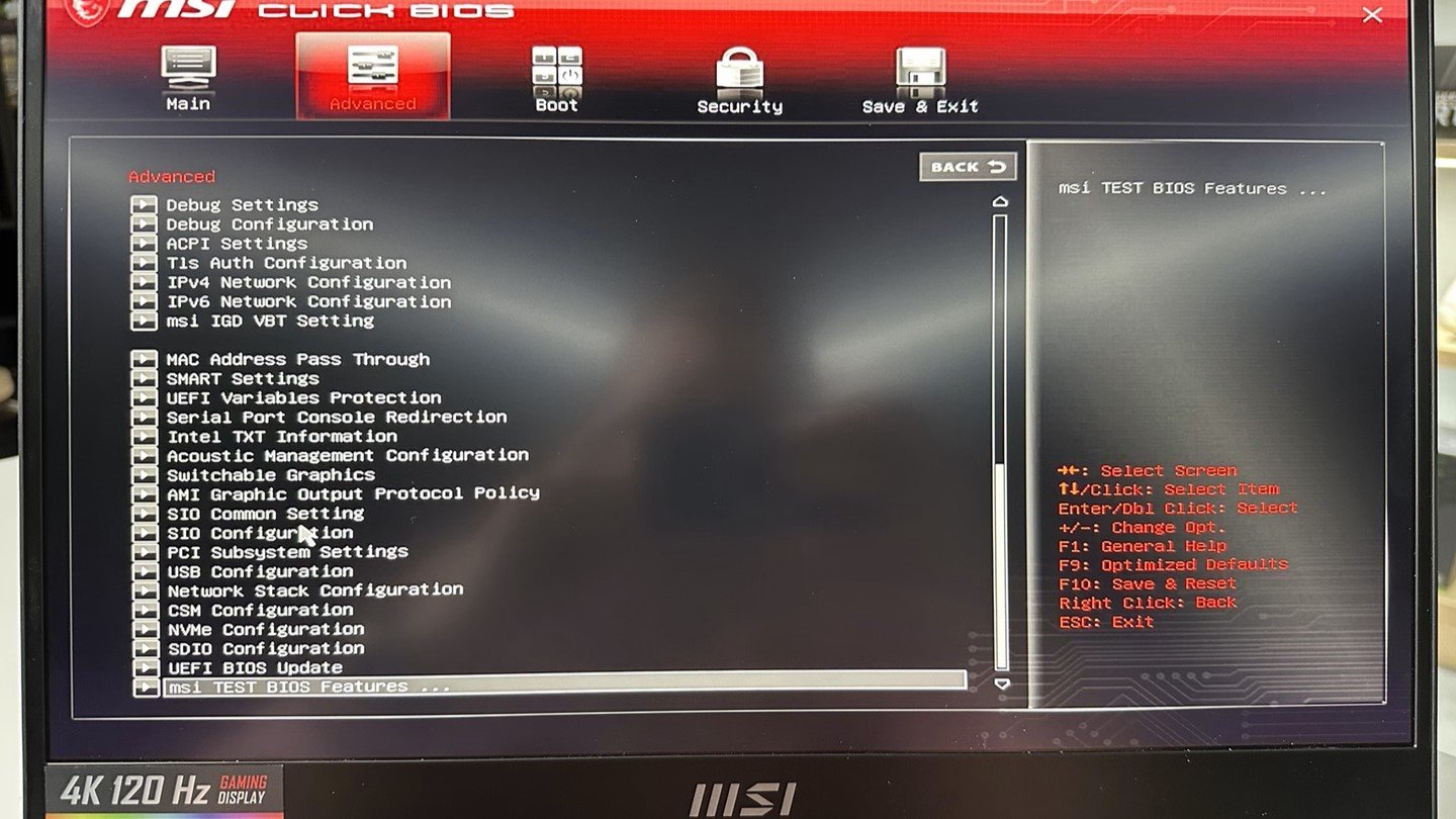 MSI GE77HX BIOS Advanced Sekmesi 3