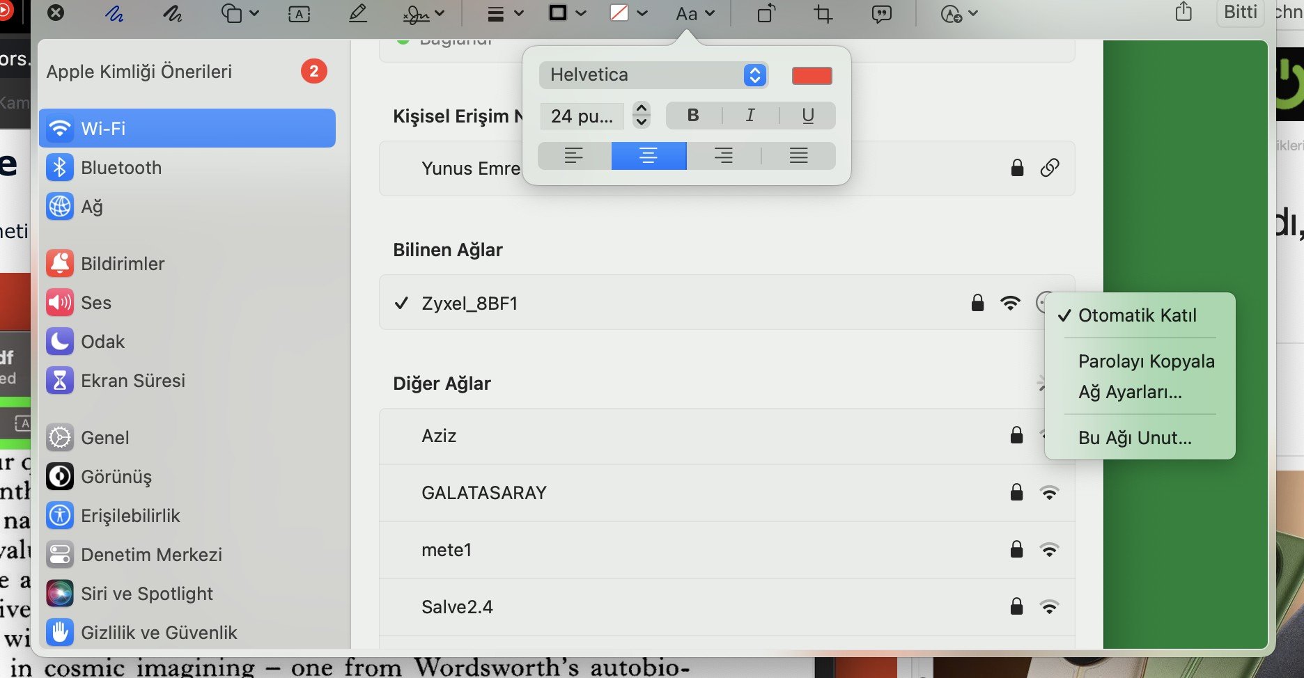 Ventura ile Önizlemeden Form Doldurma