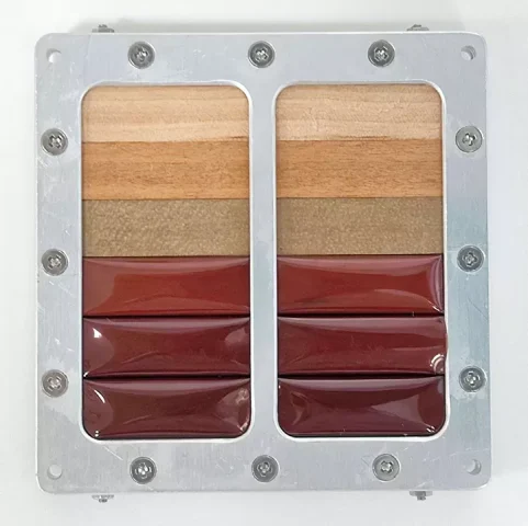 Uluslararası Uzay İstasyonu’na gönderilen ahşap örnekleri