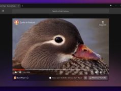 DuckDuckGo Windows açık beta