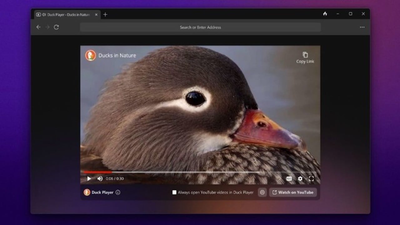 DuckDuckGo Windows açık beta