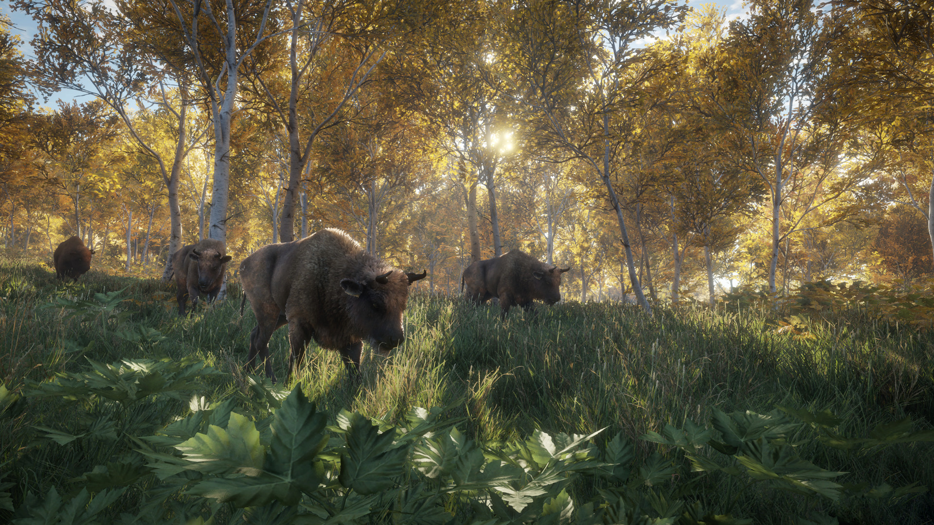 The Hunter: Call of the Wild Ücretsiz