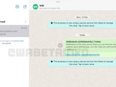WhatsApp Beta iPad