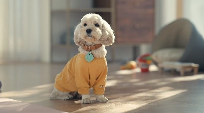 Galaxy SmartTag 2 X Pet Care