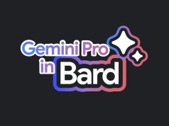 Gemini Pro türkçe