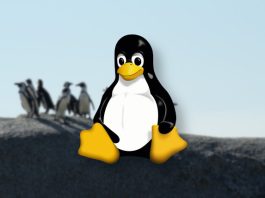 Linux pazar payı