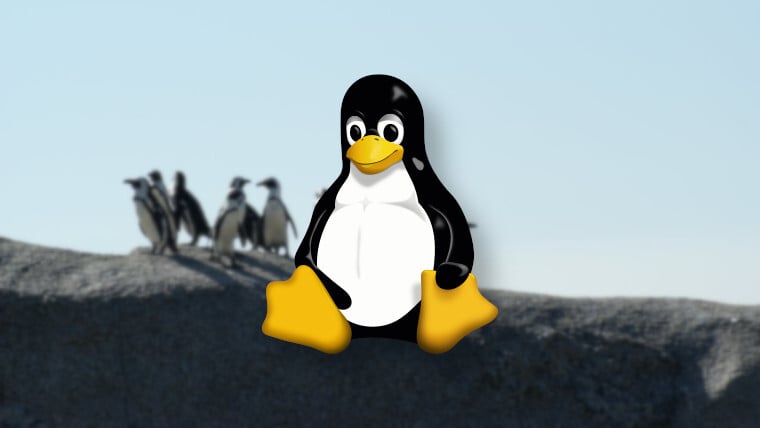 Linux pazar payı