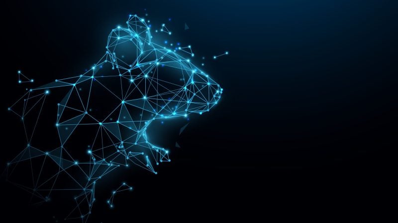 DinodasRAT Linux İmplantı