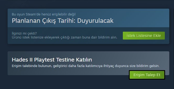 Hades 2 Steam Play Test