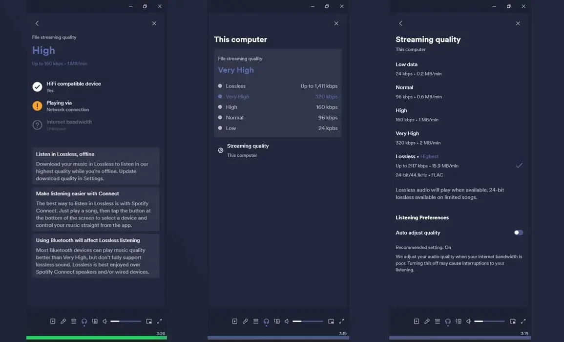 Spotify HiFi Aray&uuml;z&uuml;