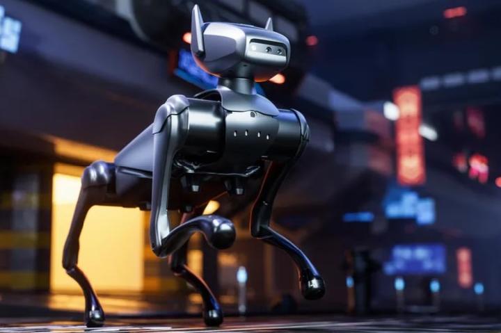 TECNO Robot Köpek